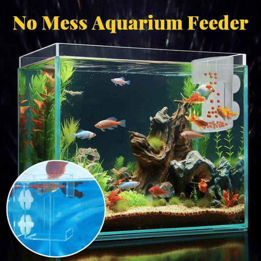 ⏳ Zeitlich begrenzter Rabatt💥🐟Aquarien-Futterring und Schale