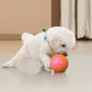 🐾 Intelligenter Hüpfball für Haustiere mit Fernbedienung – 3 Spielmodi | Bissfest E-TPU | USB-C Aufladbar 🎾