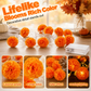 🌼 Künstliche Ringelblumen LED-Lichterkette – 20 LEDs, 8 Lichtmodi, wasserfest | Perfekte Deko für stimmungsvolle Atmosphäre 🕯️🎃🧡